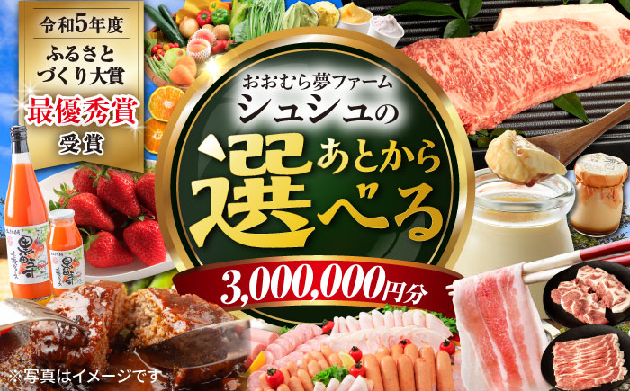 【あとから選べる】 おおむら夢ファームシュシュ ふるさとギフト300万円分 [ACAA396]