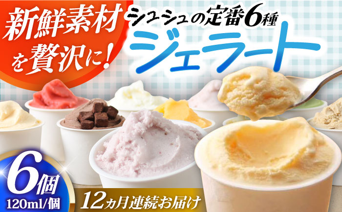 【12回定期便】シュシュ 定番ジェラート6個セット / アイス アイスクリーム ジェラート スイーツ /  大村市 / おおむら夢ファームシュシュ [ACAA408]