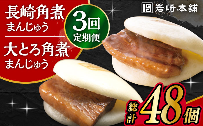 【3回定期便】長崎 角煮まんじゅう 8個・ 大とろ 角煮まんじゅう 8個 計16個セット 大村市 岩崎本舗 [ACAH020]