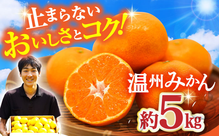 【11月中旬頃～1月中旬配送】長崎県産 温州みかん 約5kg 大村市 山光農園 [ACAI002]