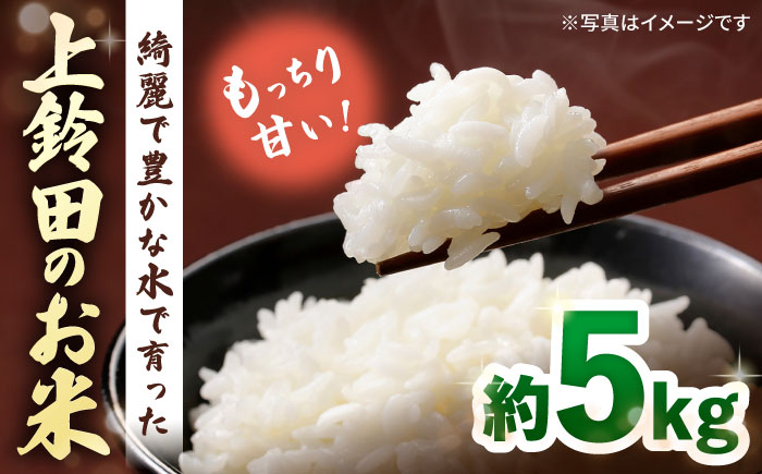 【R7年産新米】上鈴田のお米 5kg  白米 米 長崎県産 大村市 鈴田峠農園 [ACAJ008]