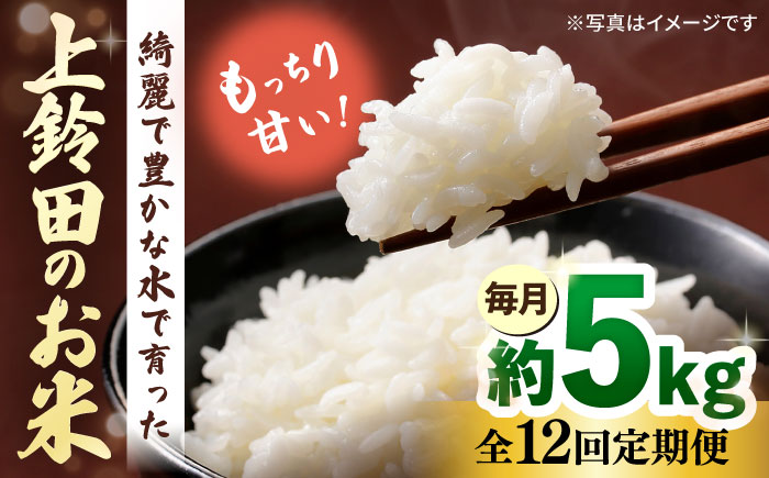 【全12回定期便】令和7年産 上鈴田のお米 5kg 白米 米 長崎県産 新米 大村市 鈴田峠農園 [ACAJ010]