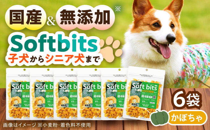 Softbits ドッグフード かぼちゃ（40g×6P）/ ドッグフード 犬 いぬ ドッグ おやつ ペットフード / 大村市 / サポート [ACAM018]