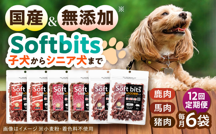 【全12回定期便】Softbits  ドッグフード 肉アソート（40g×6P） / ドッグフード 犬 いぬ ドッグ おやつ ペットフード / 大村市 / サポート [ACAM033]