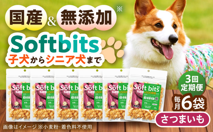 【全3回定期便】Softbits ドッグフード さつまいも（40g×6P）/ ドッグフード 犬 いぬ ドッグ おやつ ペットフード / 大村市 / サポート [ACAM040]