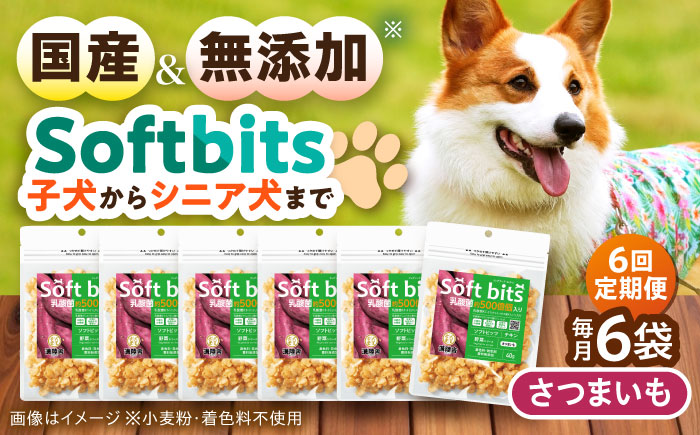 【全6回定期便】Softbits ドッグフード さつまいも（40g×6P）/ ドッグフード 犬 いぬ ドッグ おやつ ペットフード / 大村市 / サポート [ACAM041]