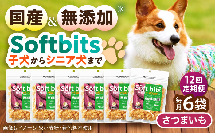 【全12回定期便】Softbits ドッグフード さつまいも（40g×6P）/ ドッグフード 犬 いぬ ドッグ おやつ ペットフード / 大村市 / サポート [ACAM042]