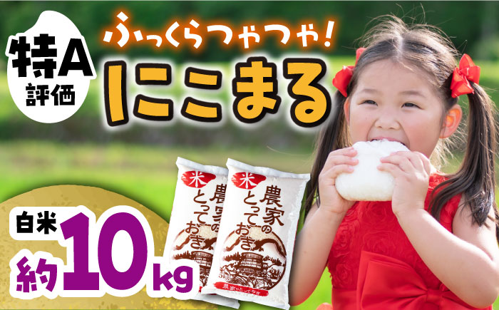 長崎県産 にこまる 約10kg(5kg×2袋) 大村市 かとりストアー [ACAN011]