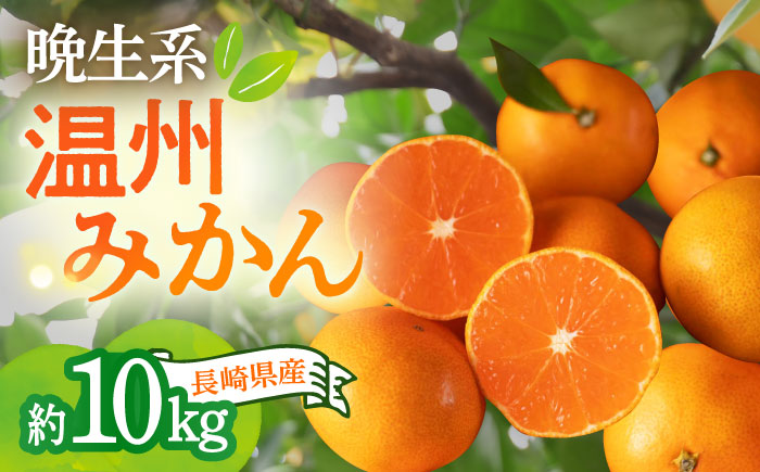 【12月中旬～1月配送】長崎県産 温州みかん (晩生系) 10kg / みかん 蜜柑 ミカン 5kg フルーツ ふるーつ 果物 くだもの  フルーツ 柑橘 / 大村市 かとりストアー [ACAN055]