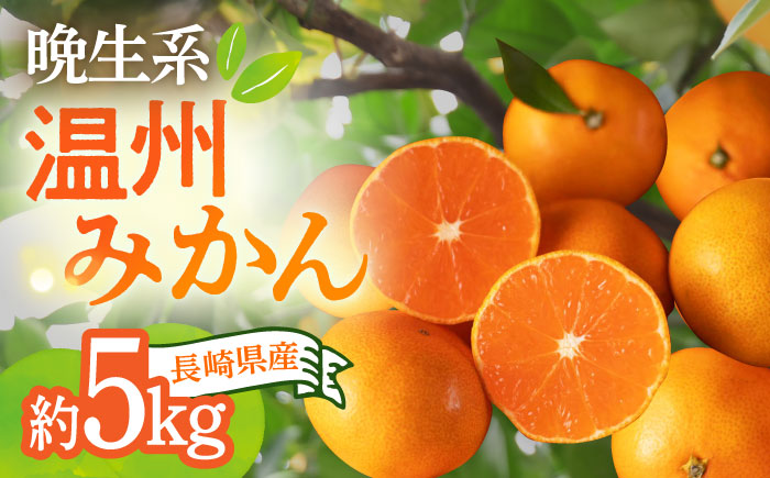 【12月中旬～1月配送】長崎県産 温州みかん (晩生系) 5kg / みかん 蜜柑 ミカン 5kg フルーツ ふるーつ 果物 くだもの  フルーツ 柑橘 /大村市 かとりストアー [ACAN056]