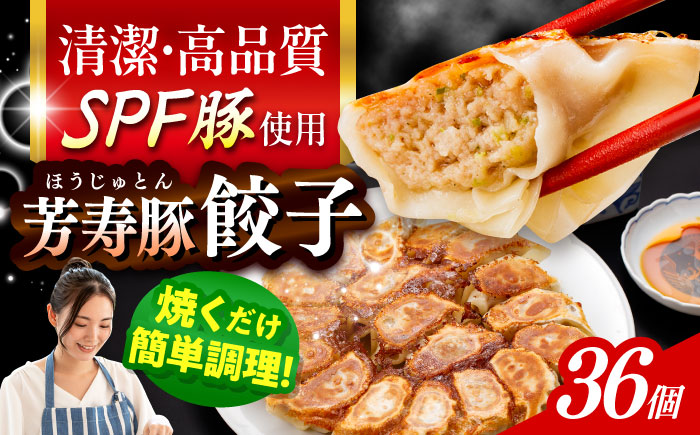SPF豚「芳寿豚」餃子 計36個（18個×2袋）/ 餃子 ぎょうざ ギョウザ ギョーザ 焼餃子 水餃子 冷凍 惣菜 / 大村市 / かとりストアー [ACAN119]