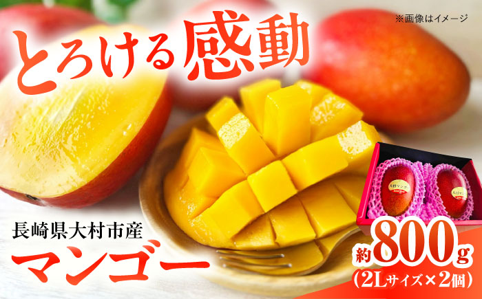 【2025年6月下旬から順次発送】 大村マンゴー 約800g (2L×2個) / 先行予約 マンゴー アップルマンゴー まんごー フルーツ トロピカルフルーツ 甘い 期間限定 国産 冷蔵配送  / 大村市 / 県央リサイクル開発[ACBC001]
