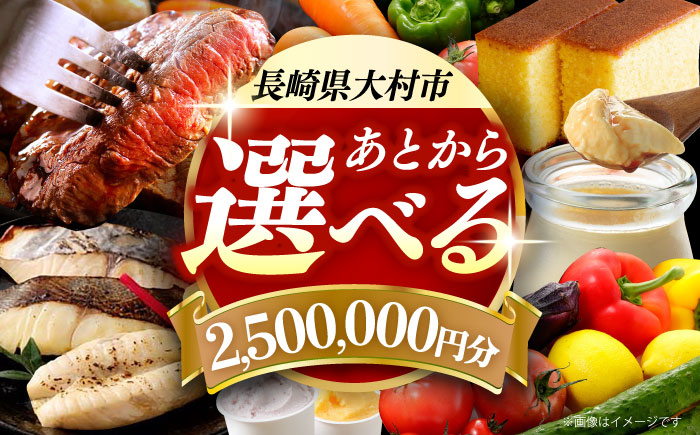 【あとから選べる】大村市ふるさとギフト250万円分 [ACBI026]