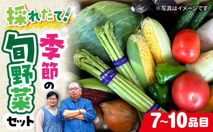 農家自慢 季節の野菜セット（7～10品目） / 詰め合わせ 野菜 やさい 野菜セット 野菜詰め合わせ 旬 春野菜 夏野菜 秋野菜 / 大村市 / 産直松吉[ACZC001]