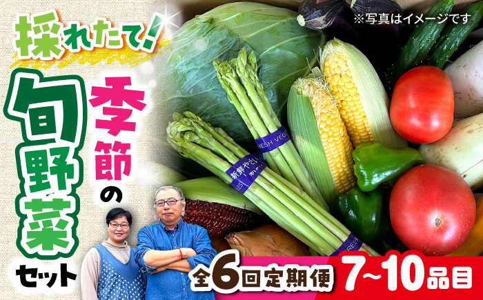 【 全6回定期便/偶数月】農家自慢 季節の野菜セット（7～10品目） / 詰め合わせ 野菜 やさい 野菜セット 野菜詰め合わせ 旬 春野菜 夏野菜 秋野菜 野菜定期便 / 大村市 /  産直松吉[ACZC002]