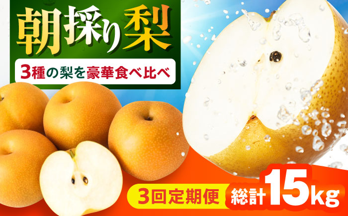 【3回定期便】 朝採り旬の梨 食べ比べ 約5kg/1回 梨定期便 フルーツ定期便 梨 ナシ なし フルーツ 果物 / 大村市 / 産直松吉 [ACZC010]