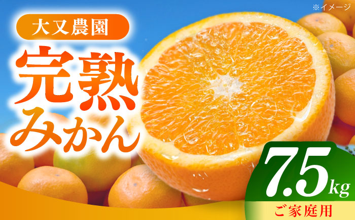 みかん 7.5kg 詰合せ 長崎県産 /柑橘 みかん 蜜柑/大村市 大又農園 [ACZO007]