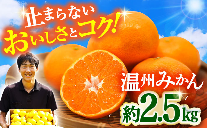 【11月中旬頃～1月中旬配送】長崎県産 温州みかん 約2.5kg 大村市 山光農園 [ACAI001]
