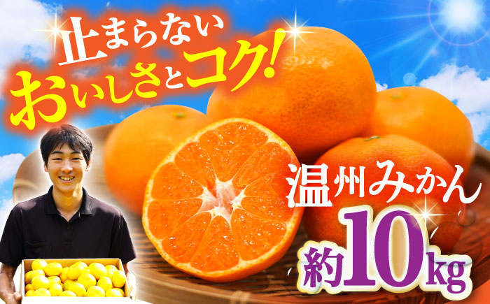 [11月中旬頃〜1月中旬配送]長崎県産 温州みかん 約10kg 大村市 山光農園 [ACAI003]