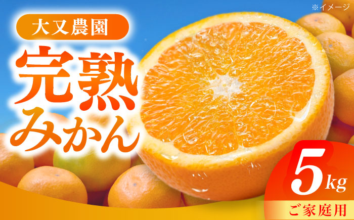 みかん 5kg 詰合せ 長崎県産 / 柑橘 みかん 蜜柑 / 大村市 大又農園[ACZO001]