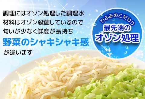 長崎伝統の味　ひふみの長崎ちゃんぽん4個セット( 贈り物 お取り寄せ お土産 お中元 お歳暮 内祝 ギフト 大好評 )【B4-114】