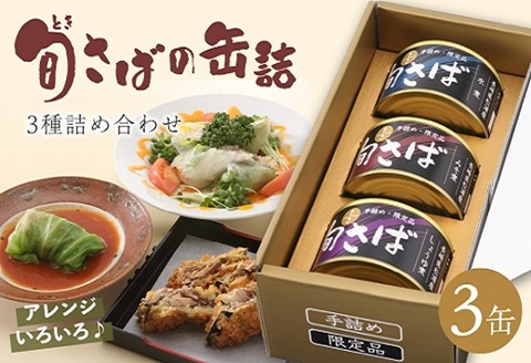 旬（とき）さばの缶詰　3種詰め合わせ( 保存食 非常食 防災 備蓄 長期保存 )【B1-153】