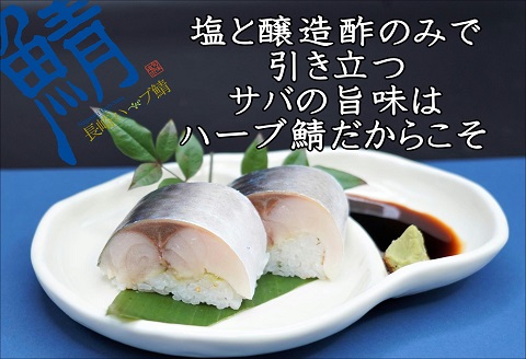 サバがこんなに美味しいなんて！長崎ハーブ鯖の「しめ鯖」2枚【B2-181】