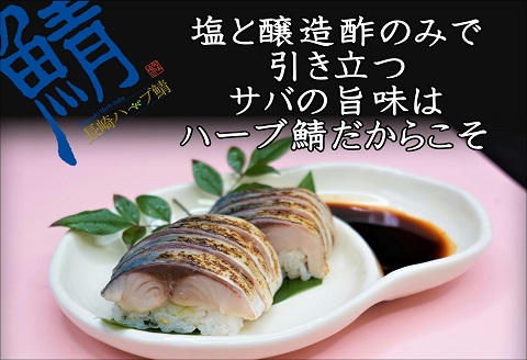 サバがこんなに美味しいなんて！長崎ハーブ鯖の「炙りしめ鯖」2枚【B3-018】