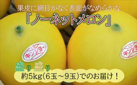 爽やかな初夏の香　キンショーメロン５ｋｇ【B3-073】