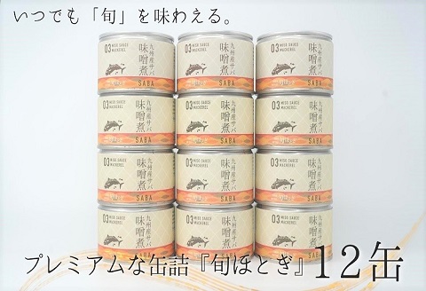 缶詰工場直送　伝統のさば缶「旬ほとぎ」味噌煮12缶( 保存食 非常食 防災 備蓄 長期保存 )【B2-190】
