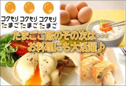 養鶏場直送!松浦の赤たまご(40個)【B1-152】