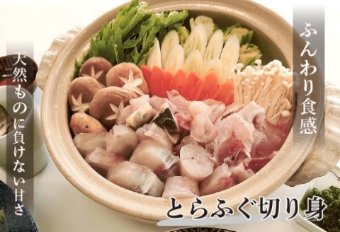 高級とらふぐちり鍋と高級クエ鍋セット【G0-016】