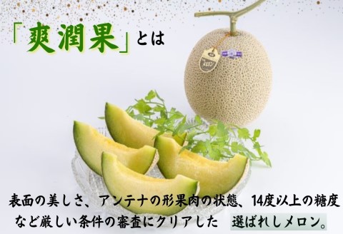 松浦アールスメロン「爽潤果(そうじゅんか)」2玉( メロン アールスメロン ブランド 人気 甘い 美味しい おいしい ギフト 期間限定 糖度14度以上 濃厚 芳醇 松浦 松浦市 長崎 長崎県 )【B4-109】