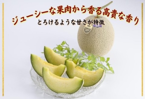 松浦アールスメロン「爽潤果(そうじゅんか)」1玉( メロン アールスメロン ブランド 人気 甘い 美味しい おいしい ギフト 期間限定 糖度14度以上 濃厚 芳醇 松浦 松浦市 長崎 長崎県 )【A8-032】