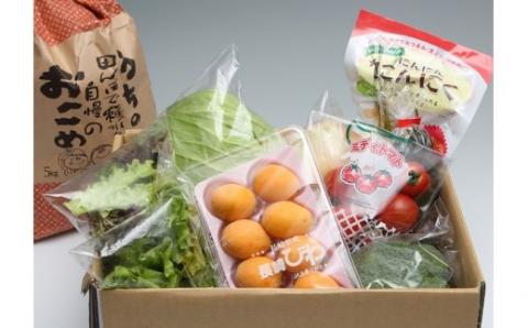 道の駅松浦海のふるさと館『旬のお野菜＋お米5kg』の大満足セット！【B7-040】