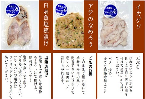 飛龍丸漁師直伝　下処理不要！流水解凍ですぐ使える旬のお魚セット( アジ イカ タコ なめろう 下処理済 小分け )【B5-105】