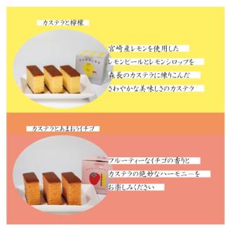 伝統に育まれた本場の長崎カステラセット(個包装タイプ)Bセット【C3-030】