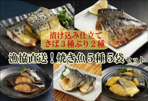 漁協直送！焼き魚5種5袋セット【B0-224】