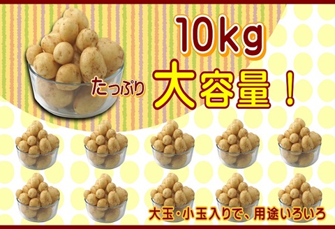 訳あり！農家直送のじゃがいも　10kg ( 訳あり じゃがいも いも 肉じゃが サラダ フライドポテト カレー シチュー 煮物 )【B0-221】