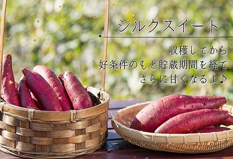 お花農家のサツマイモアイス「農花(のうか)」ラム酒6個エディブルフラワーソルト付き【B1-169】