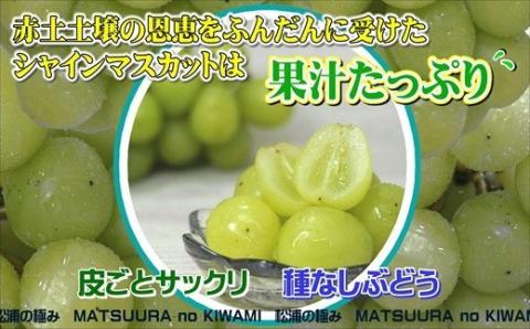 御厨ぶどうシャインマスカット(特秀)4房～5房　約2kg【C7-024】