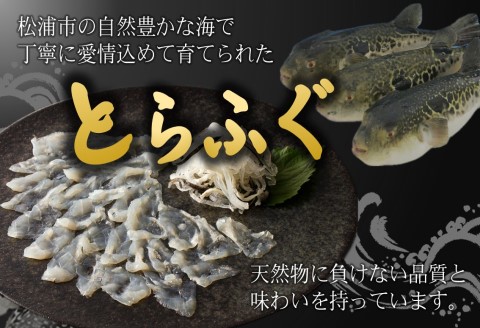 漁協直送！とらふぐ刺身1人前×2皿( とらふぐ トラフグ ふぐ フグ 河豚 刺身 ふぐ刺し フグ刺し 直送 松浦市 )【B3-079】