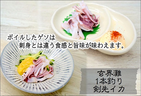 玄界灘の1本釣り　剣先イカの薄造り刺身3人前【B1-170】