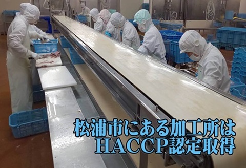 旬(とき)づくし( 干物 魚 セット アジ イカ サバ ブリ 鯛 しめさば 詰め合わせ )【B5-110】