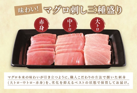 まぐろ・とらふぐ・アジフライ「松浦を食べる」ご馳走セット【E8-010】