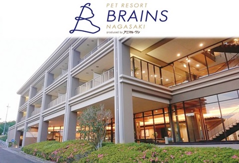 ペットリゾート　ブレインズ長崎《1名様分サウナ・温泉＆レストラン食事セット券》( サウナ 温泉 レストラン 食事 チケット 1名 1人 ホテル リゾート )【B1-174】