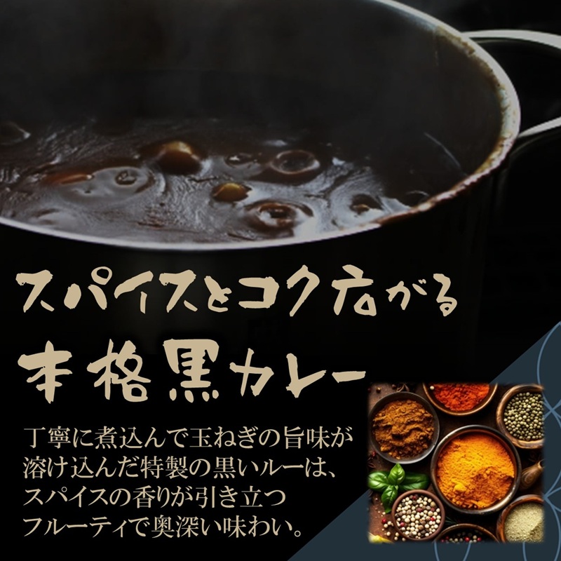 和牛がゴロッと黒カレー 200g×2P ( カレー 和牛 和牛カレー 冷凍 簡単 )【A6-034】