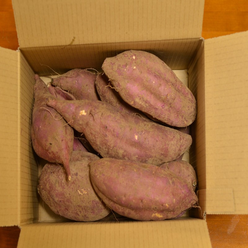 【長崎県松浦市産】畑の宝石 さつまいも(シルクスイート) 3kg ( さつまいも シルクスイート 長崎県松浦市産 長崎県産 )【A7-081】