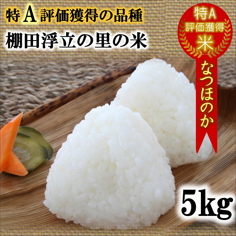 【 令和7年 新米 】松浦の寒暖差が味の決め手!特A評価獲得の品種「なつほのか」棚田浮立の里のお米5kg( コメ 米 なつほのか 白米 精米 国産 送料無料 )【B4-133】