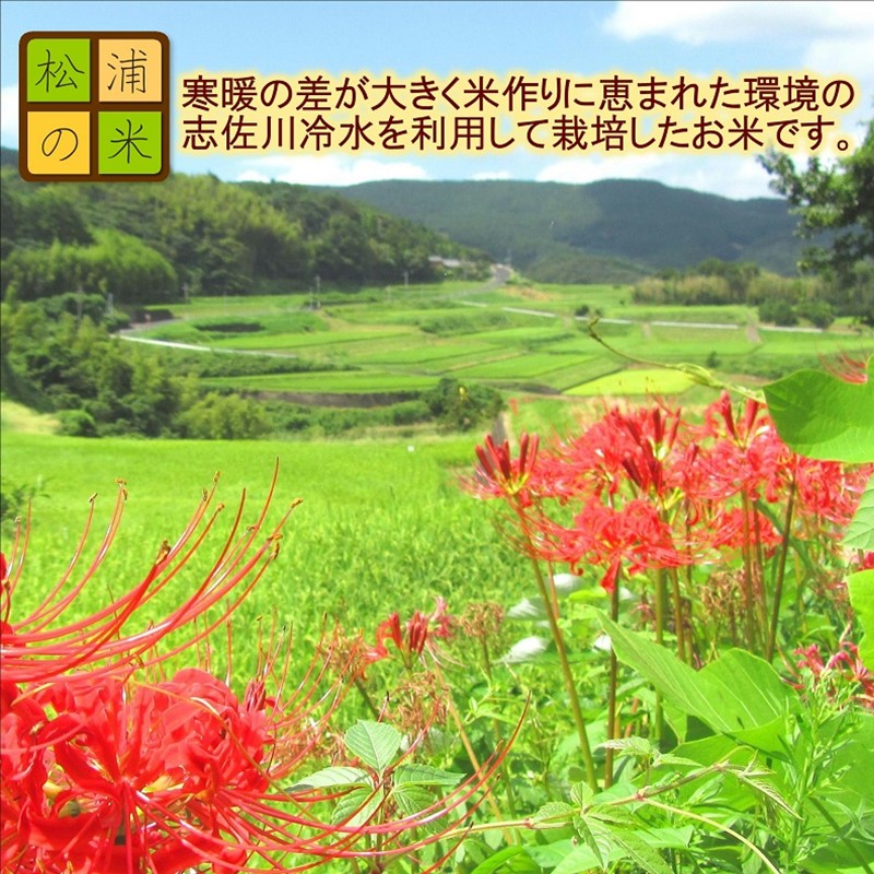 【 令和7年 新米 】お弁当屋さんが太鼓判！棚田浮立の里のお米5kg「夢しずく」( 米 お米 コメ 白米 夢しずく 精米 5kg 5キロ 棚田米 送料無料 )【B4-135】